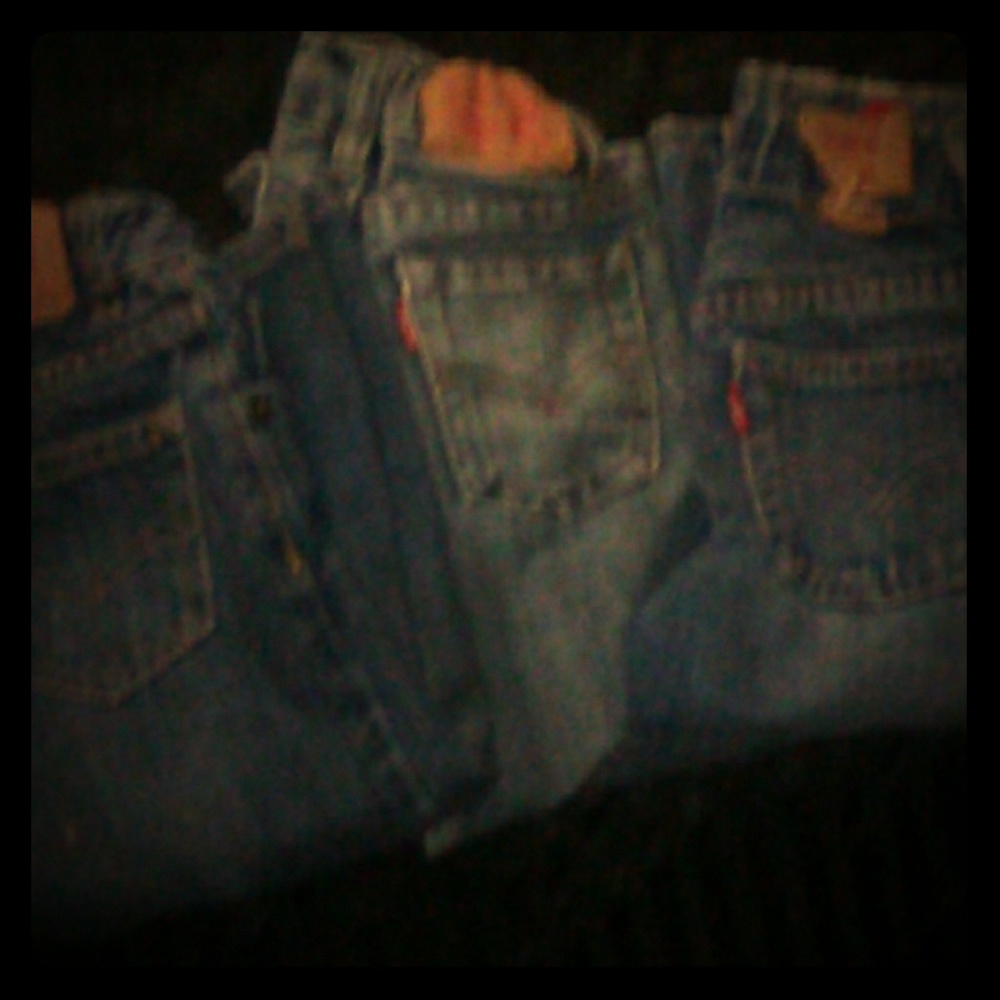 Levi bundle